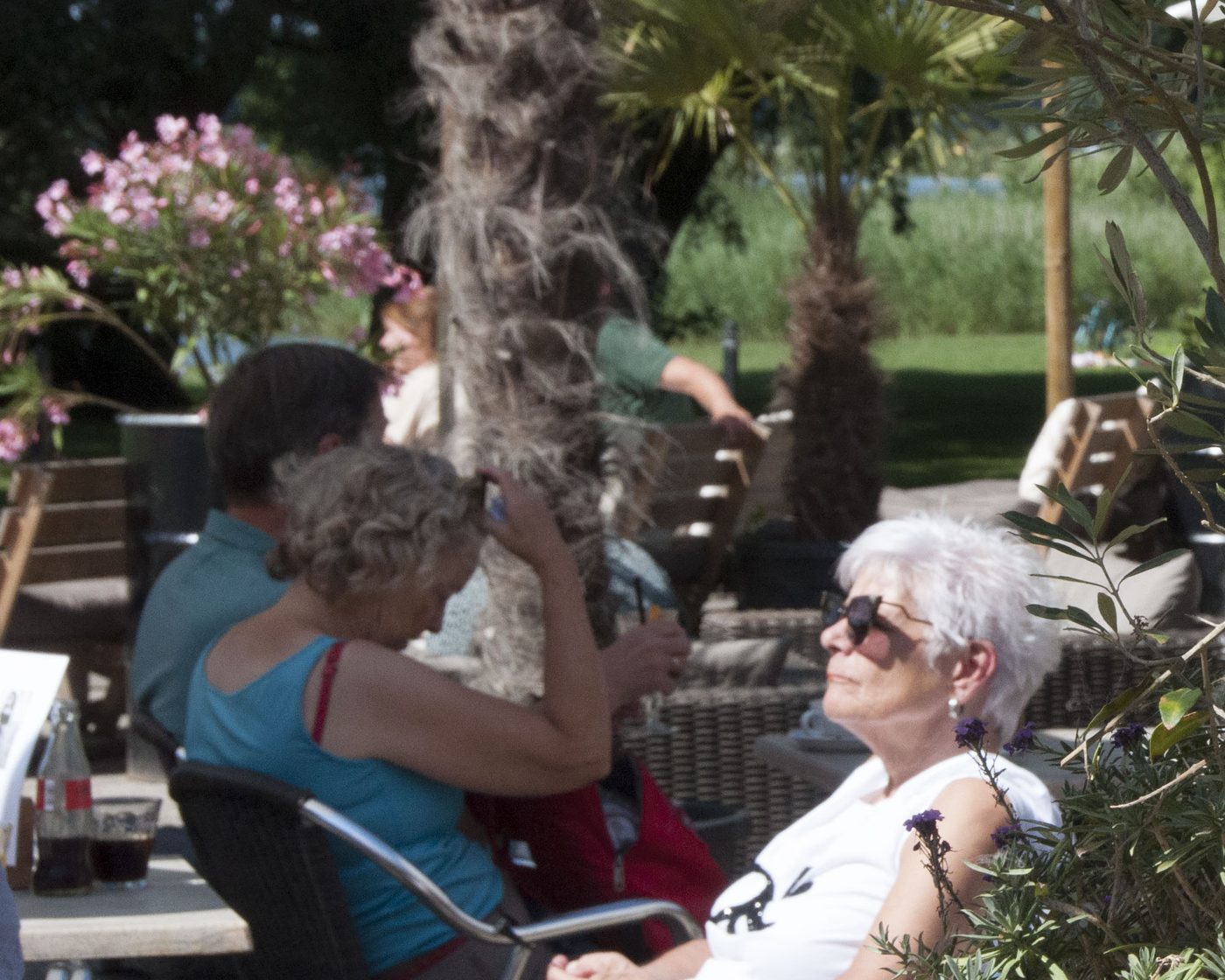 Genieten op het terras met uitzicht over het groen